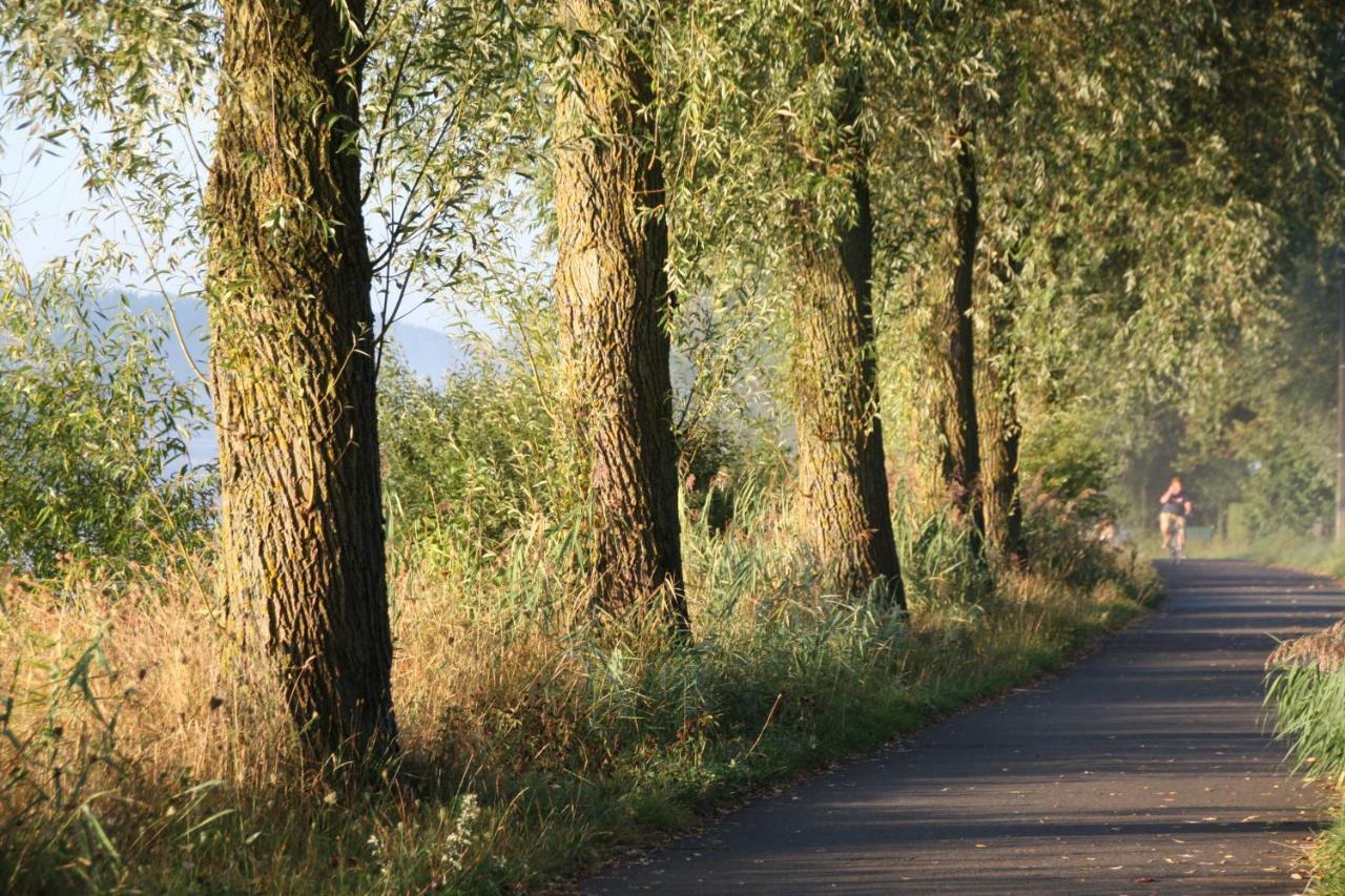 B&B The View Bis Kortrijk Eksteriør bilde